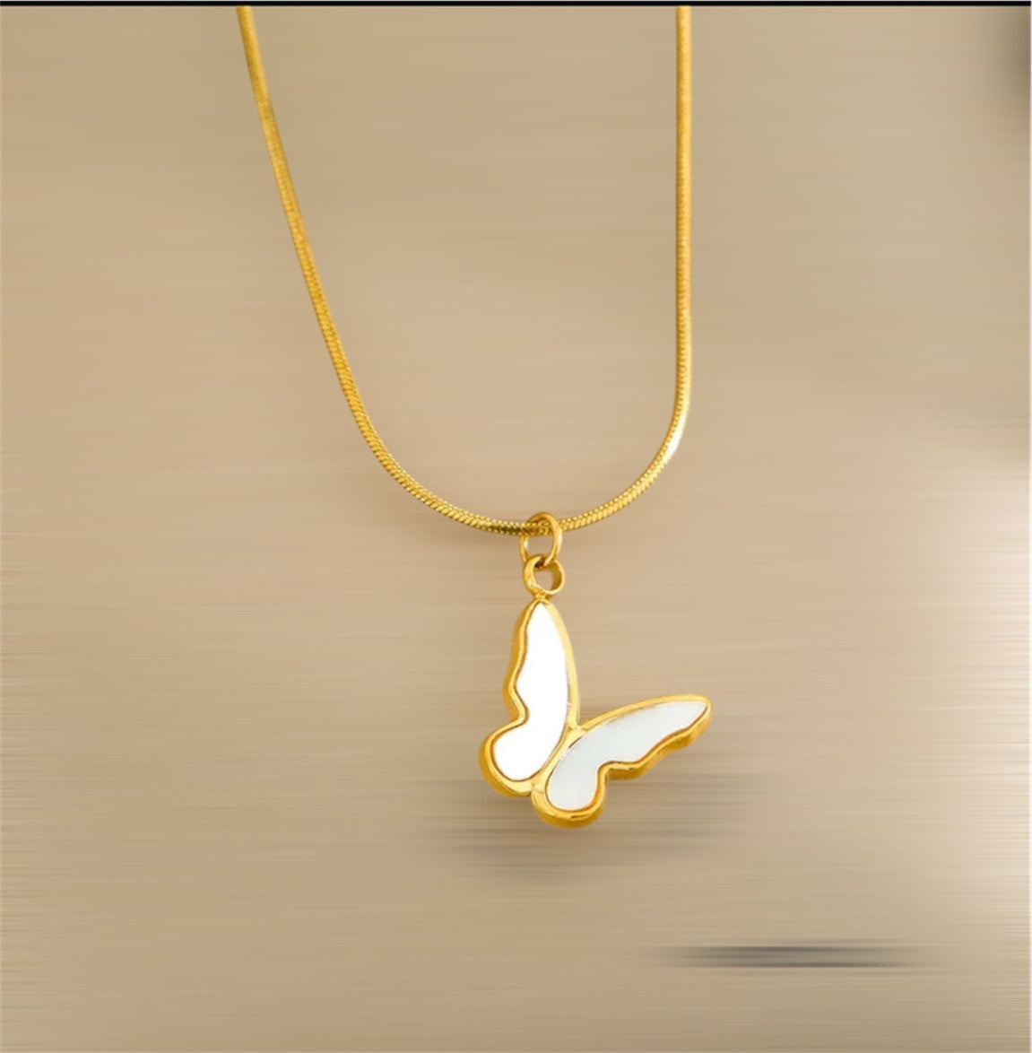 Mariposa de La Paz